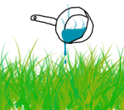 eau-bouillante-mauvaises-herbes