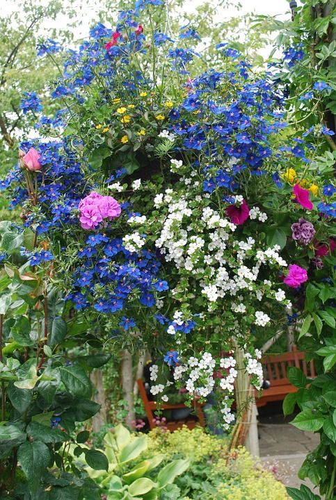 cascade de fleurs