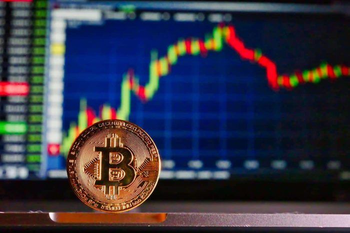 cryptomonnaie